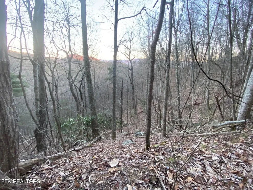 Unit for sale at 35 Elderberry Drive, Sevierville, TN 37876