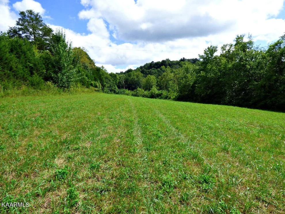 Unit for sale at 2 Cody Rd, White Pine, TN 37890