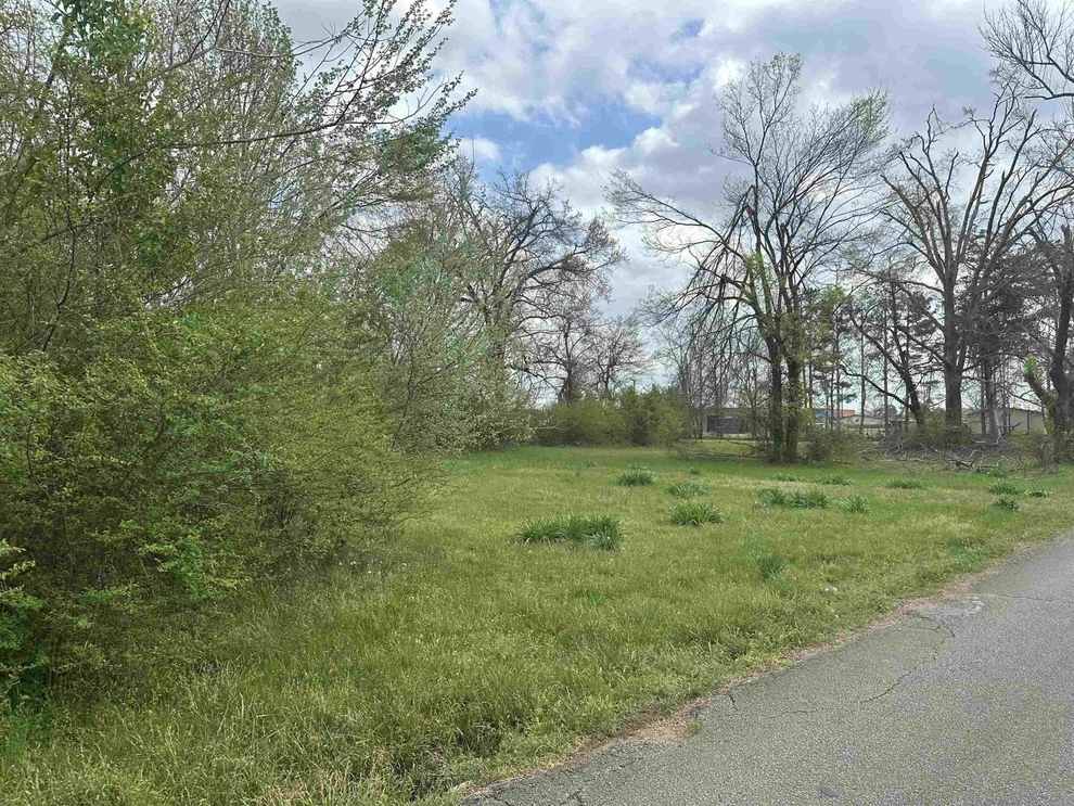 Unit for sale at 345 SOUTH ST, Savannah, TN 38372