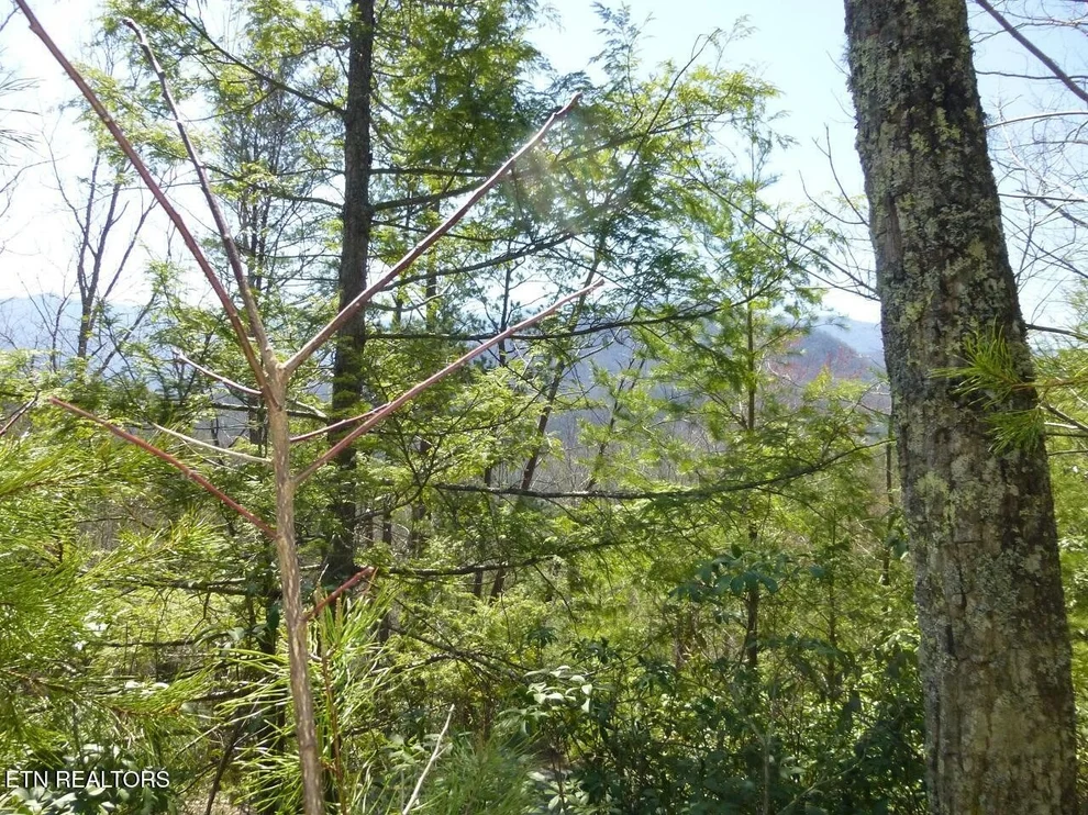 Unit for sale at 2425 Sonshine Ridge Rd, Cosby, TN 37722