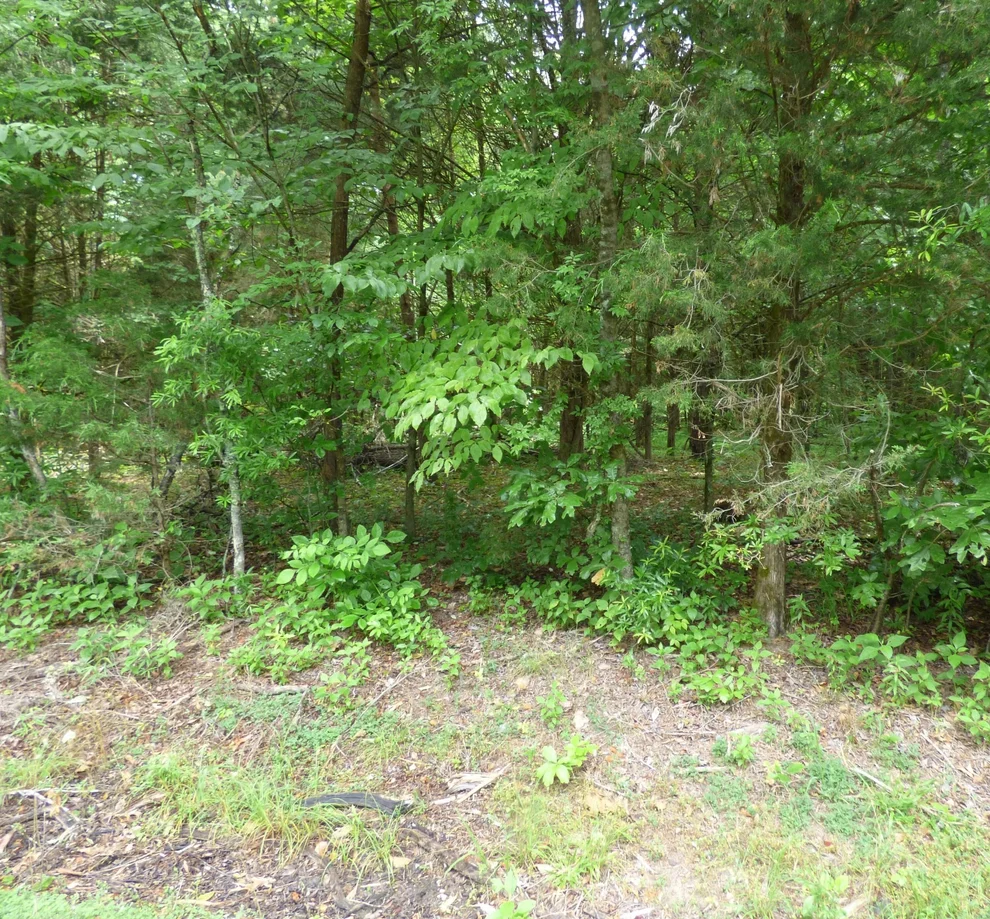 Unit for sale at 1024 Mountain View Lane, Baneberry, TN 37890