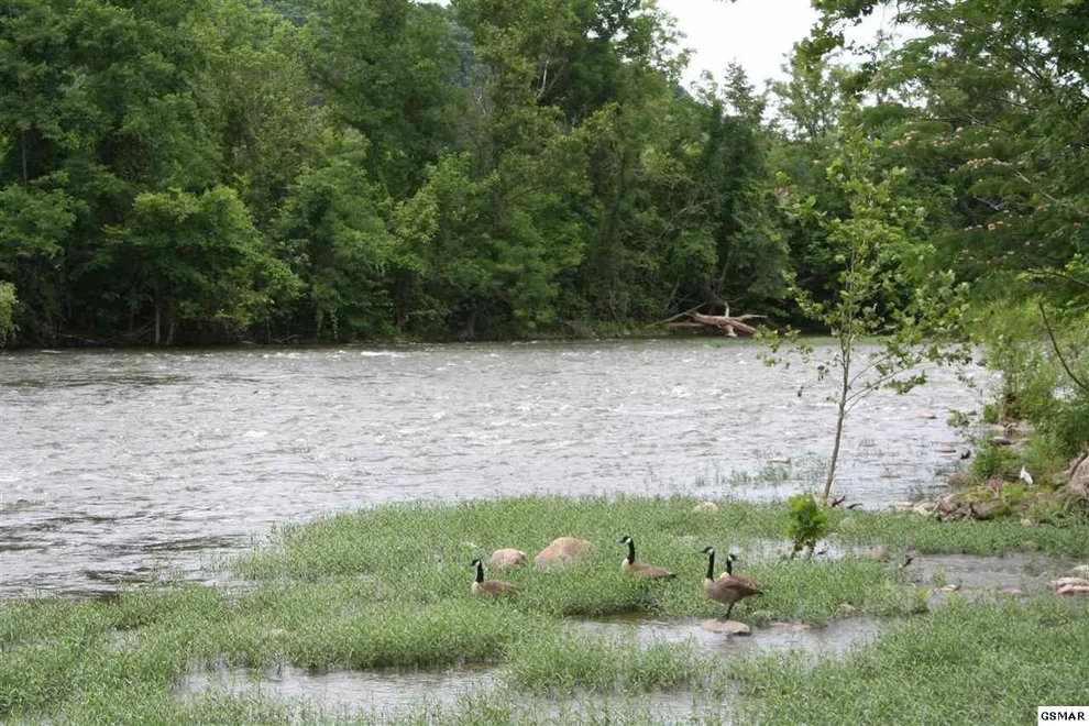 Unit for sale at 1029 Highway 73, Newport, TN 37821