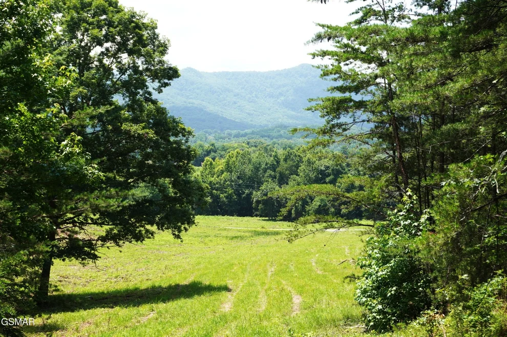 Unit for sale at 0 Rhyne Camp Road, Newport, TN 37821