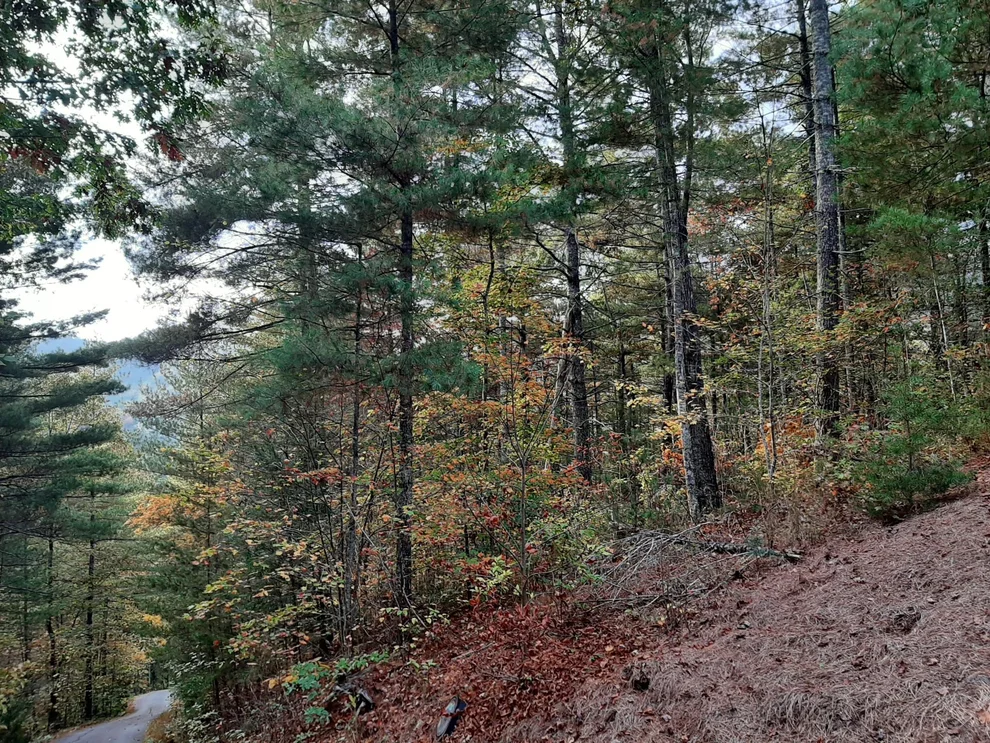 Unit for sale at 115 Le Conte View Lane, Townsend, TN 37882