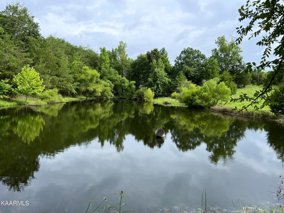 Unit for sale at 790 Lonesome Pine Rd, Bybee, TN 37713