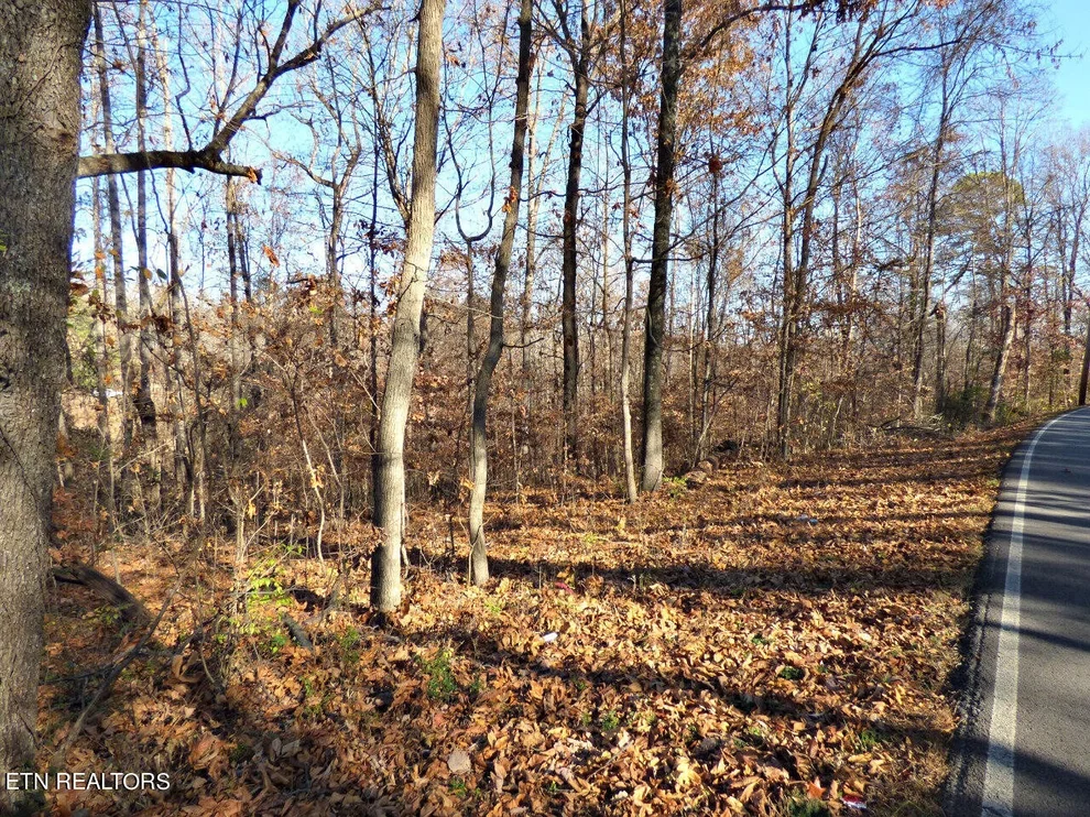 Unit for sale at 12 Cherokee Drive, Dandridge, TN 37725