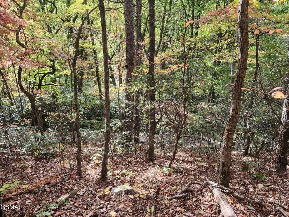 Unit for sale at 11 Bluff Mtn Rd, Sevierville, TN 37876
