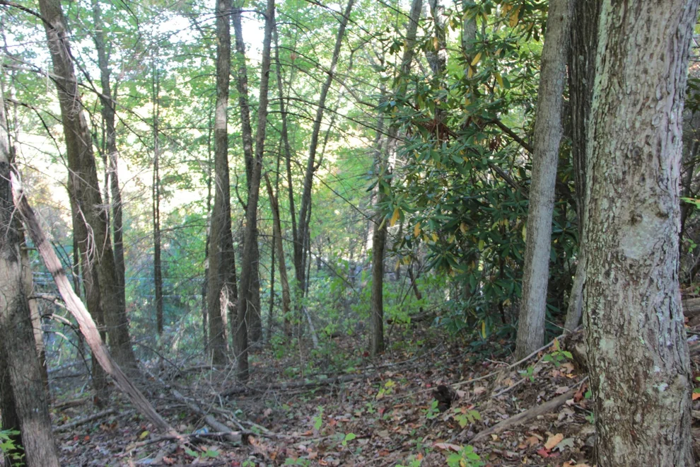 Unit for sale at 0 Lot 62 Tyrolea Ct, Gatlinburg, TN 37738