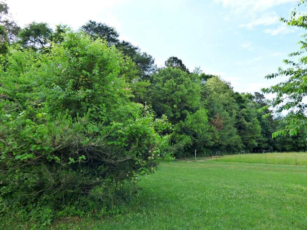 Unit for sale at 113 White Birch, White Pine, TN 37890