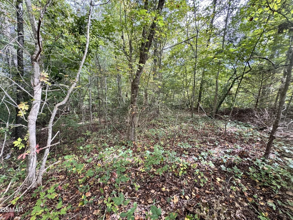 Unit for sale at 90 Owls Cove Way, Sevierville, TN 37862