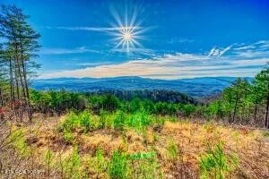 Unit for sale at 21 Look Rock Crest Drive, Maryville, TN 37803
