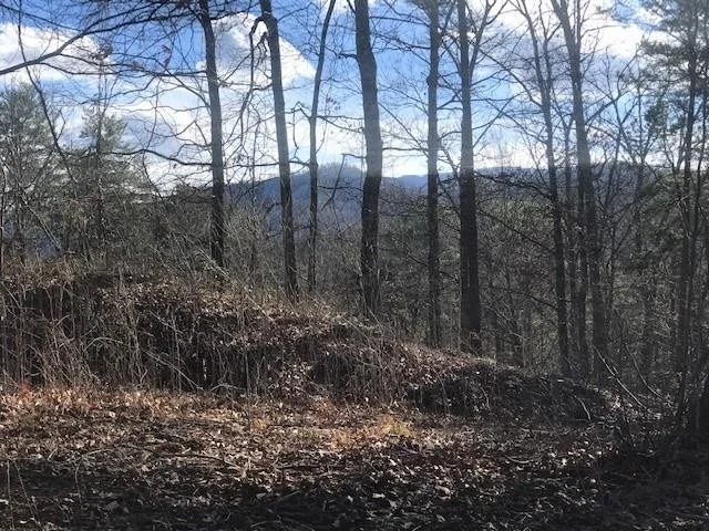 Unit for sale at 32 Storm Bringer Drive, Sevierville, TN 37862