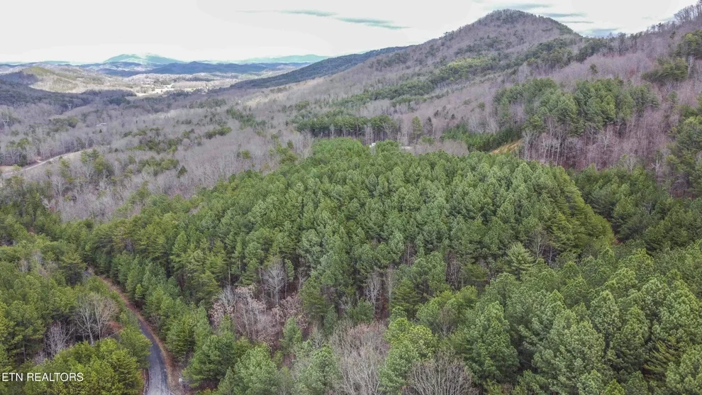 Unit for sale at 545 Harlan Mountain Rd, Tellico Plains, TN 37385