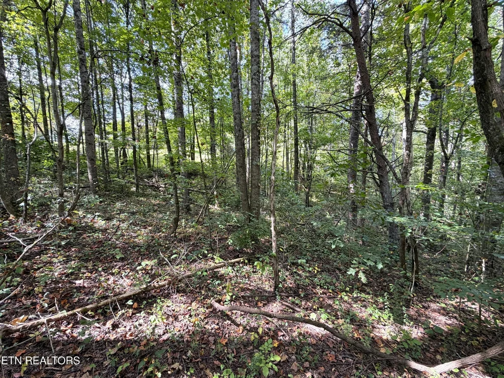Unit for sale at 25 East Drive, Parrottsville, TN 37843