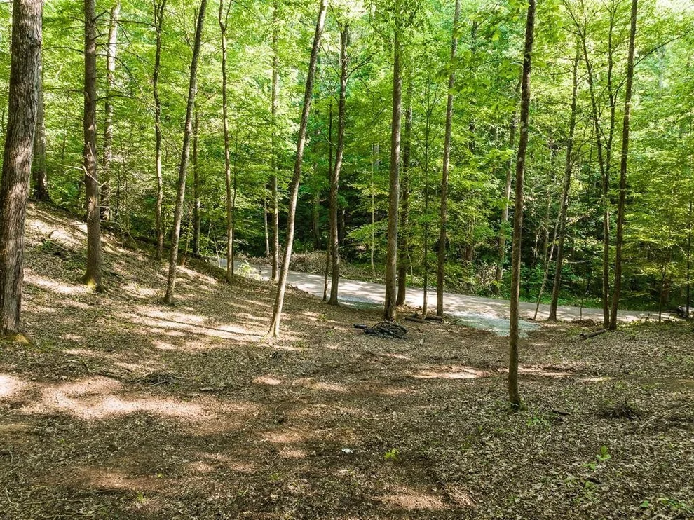 Unit for sale at 14 Cara Way, Cosby, TN 37722
