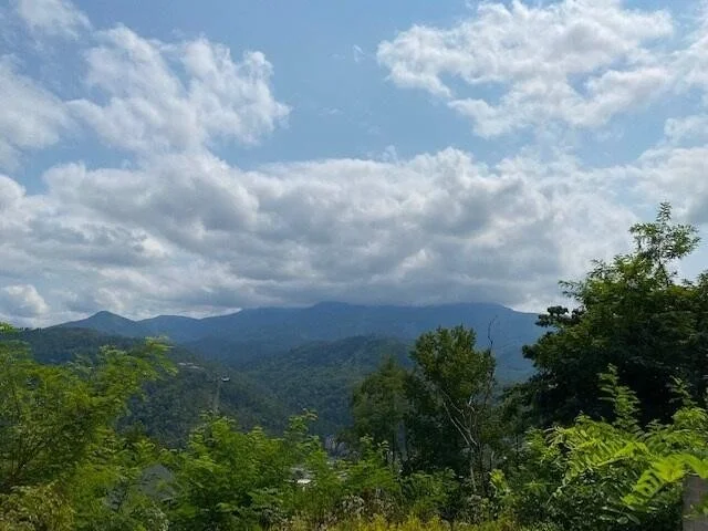 Unit for sale at 552 Campbell Lead Rd, Gatlinburg, TN 37738