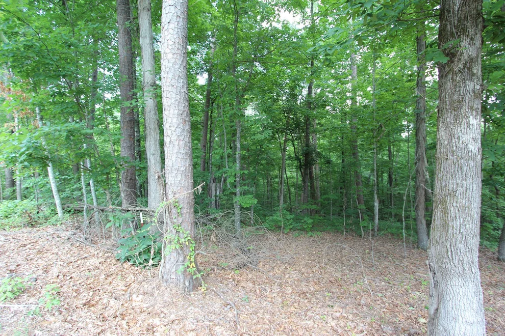 Unit for sale at 0 Lot 31 Smokey Mountain Queen R, Sevierville, TN 37876