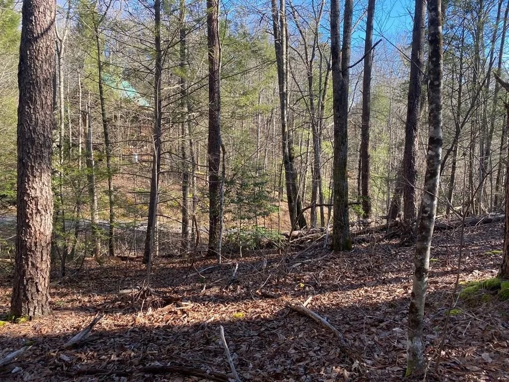 Unit for sale at 15 Birds Creek Road, Sevierville, TN 37876