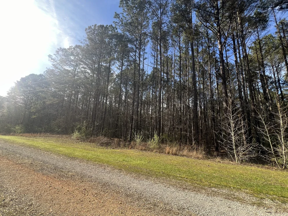 Unit for sale at 116 Zara Spook Dr, Cedar Grove, TN 38321