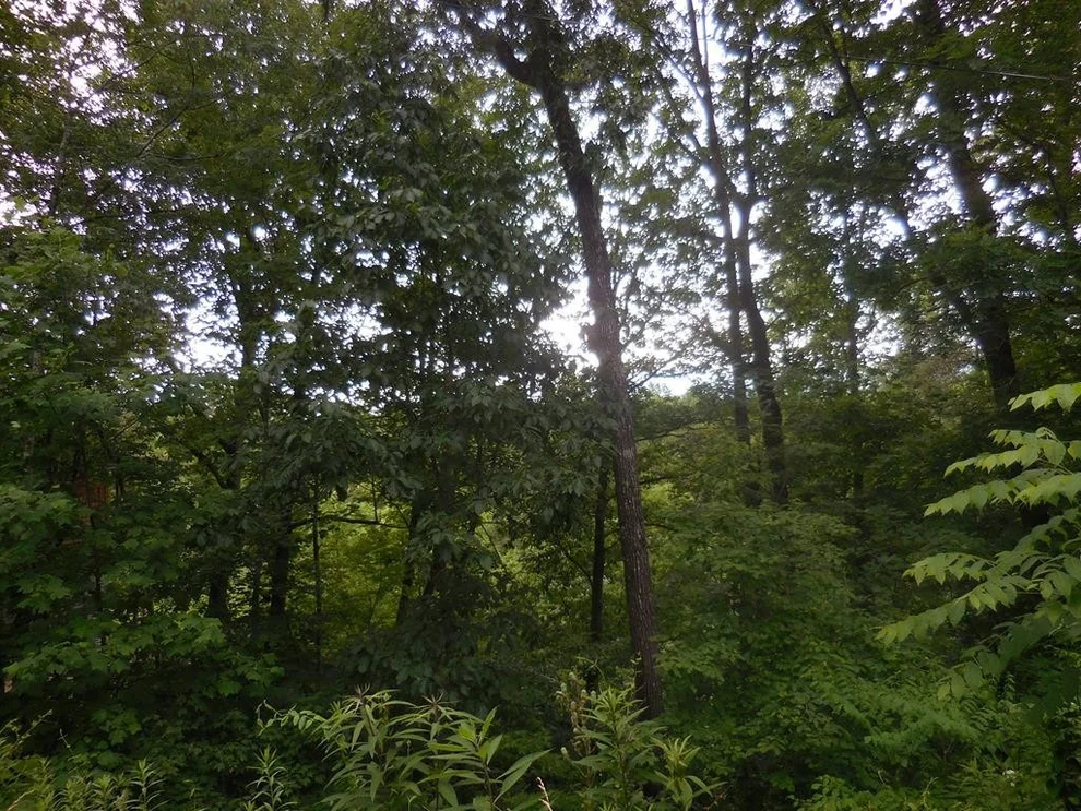 Unit for sale at 36 Still Rest, Sevierville, TN 37876