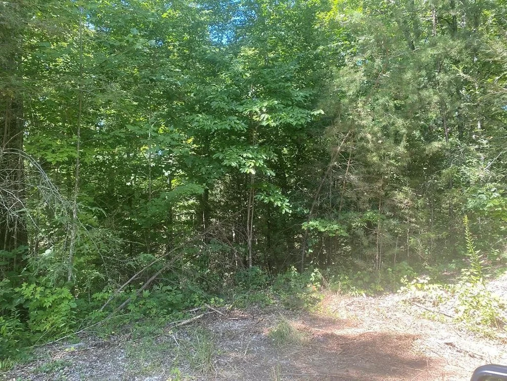 Unit for sale at 3 Tall Oak Way, Sevierville, TN 37876