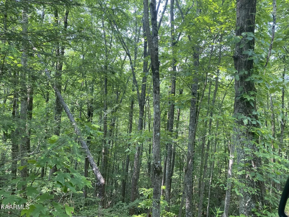 Unit for sale at 1 John Sevier Drive, Sevierville, TN 37876