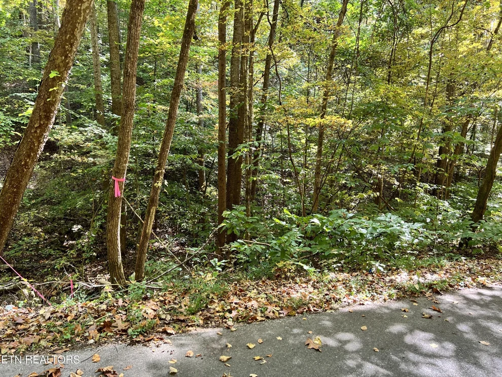 Unit for sale at 1875 Dyer Hollow Rd, Mohawk, TN 37810