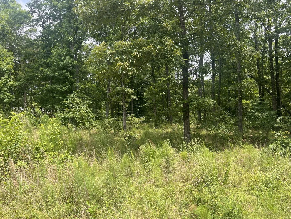 Unit for sale at 5 LakeView Drive, Linden, TN 37096