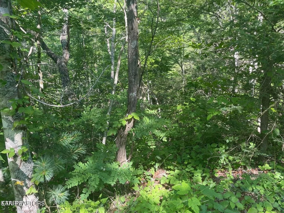 Unit for sale at 69 Sycamore St, Sevierville, TN 37876
