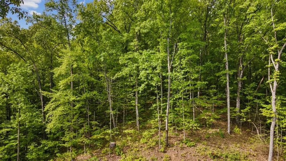 Unit for sale at 0 Joyner Hills Lane, Sevierville, TN 37876