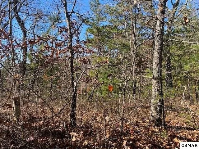 Unit for sale at 71 Poplar Place, Sevierville, TN 37876