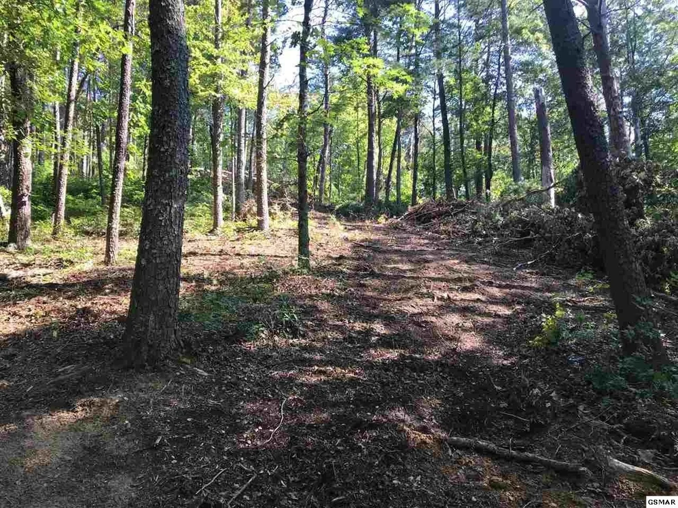 Unit for sale at 0 Wears Overlook Lane, Sevierville, TN 37862