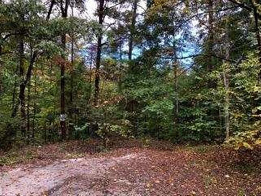 Unit for sale at 51 Mr Marshall Drive, Pigeon Forge, TN 37863