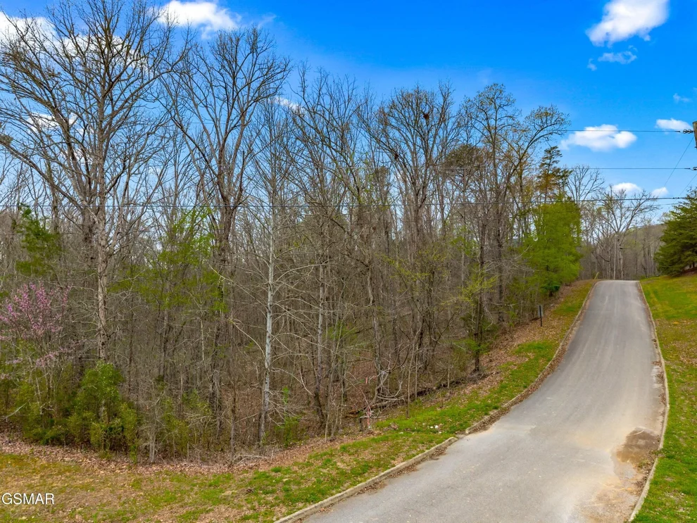 Unit for sale at 107 Turtle Dove Trail, Dandridge, TN 37725