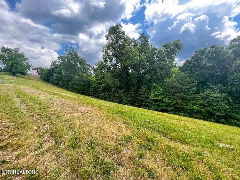 Unit for sale at 2004 Turners Landing Rd, Russellville, TN 37860