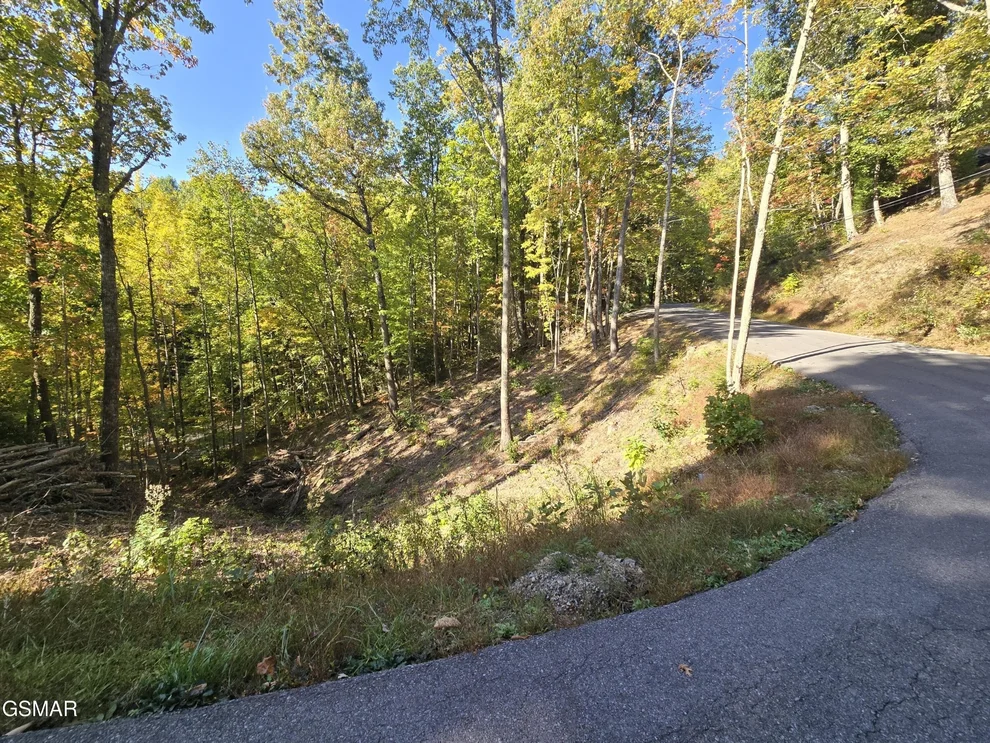 Unit for sale at 6 Scenic Trail, Gatlinburg, TN 37738