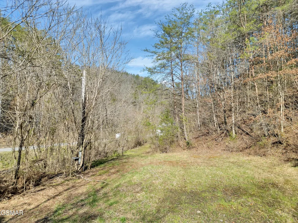 Unit for sale at 0 Jackson Hollow Road, Thorn Hill, TN 37881