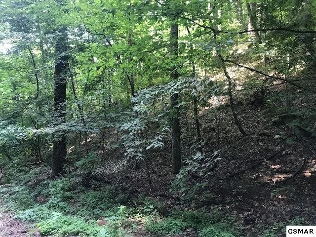 Unit for sale at 0 Raymond Hollow Road, Sevierville, TN 37862