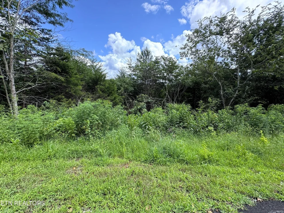 Unit for sale at 19 English Fields Drive, Cosby, TN 37722
