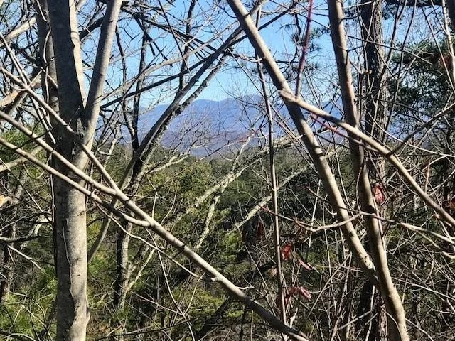 Unit for sale at 10 Lighting Strike Drive, Sevierville, TN 37862