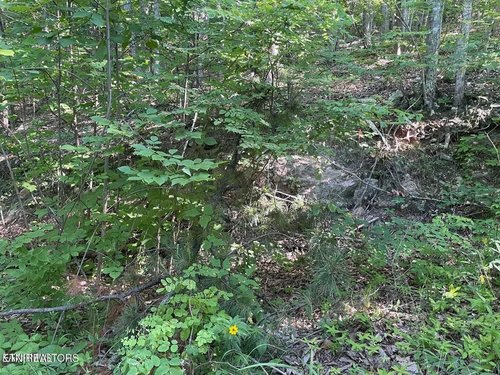 Unit for sale at 22 Elderberry Drive, Sevierville, TN 37876