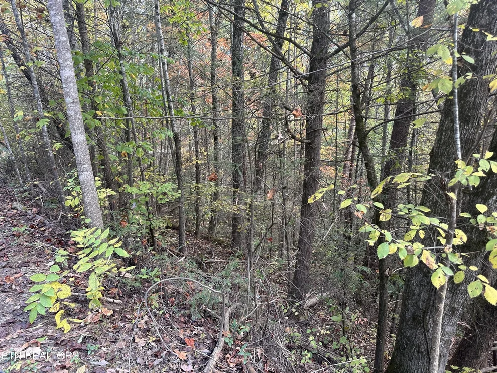 Unit for sale at 1781 Rich Mtn Way, Sevierville, TN 37876