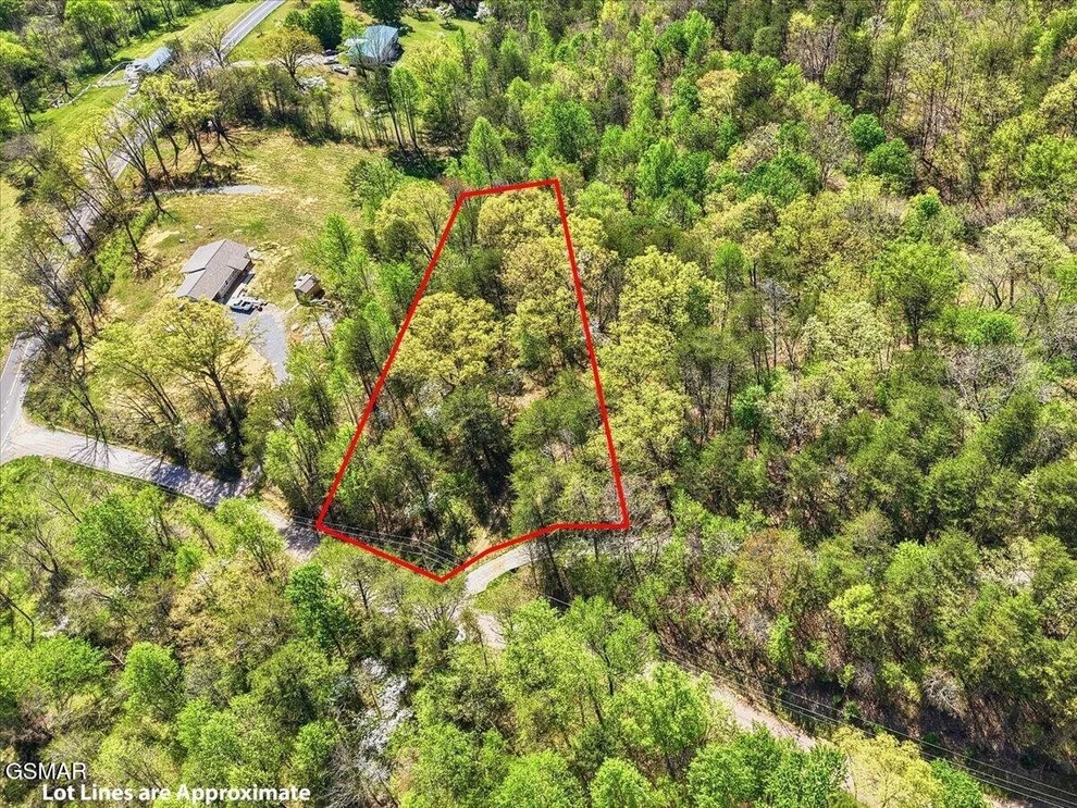 Unit for sale at 0 Dark Hollow Road, Cosby, TN 37722
