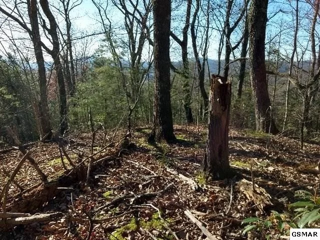 Unit for sale at 0 Ravens Den Way, Sevierville, TN 37862