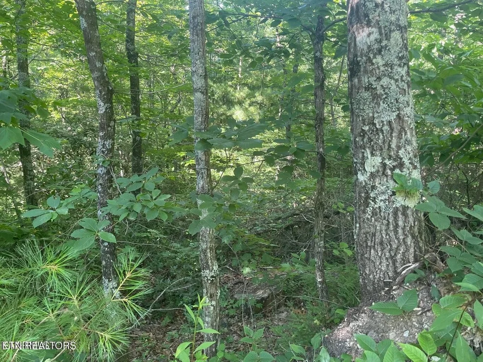 Unit for sale at 71 Hazelnut Lane, Sevierville, TN 37876