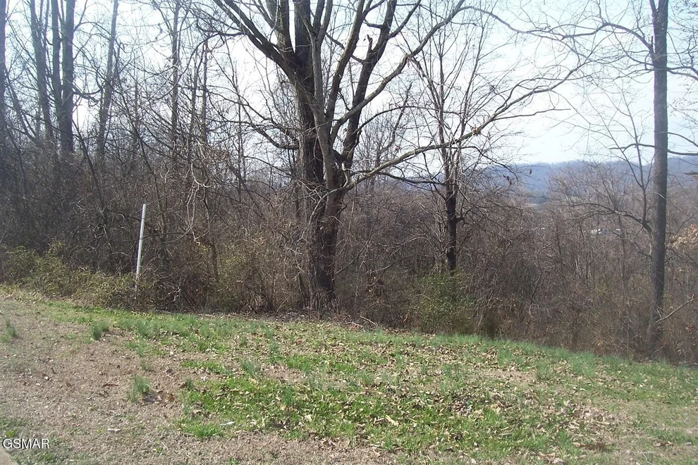 Unit for sale at 142 Low Valley Road, Dandridge, TN 37725