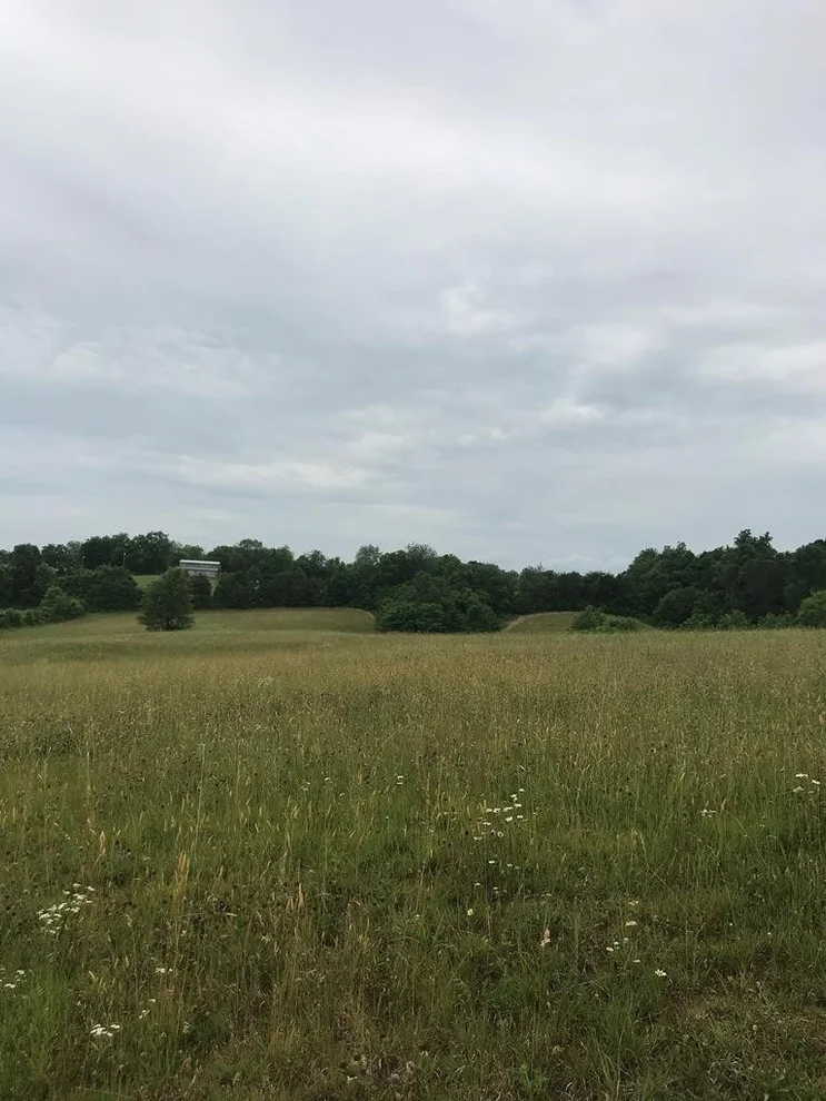 Unit for sale at 0 Redwing Lane, New Market, TN 37820