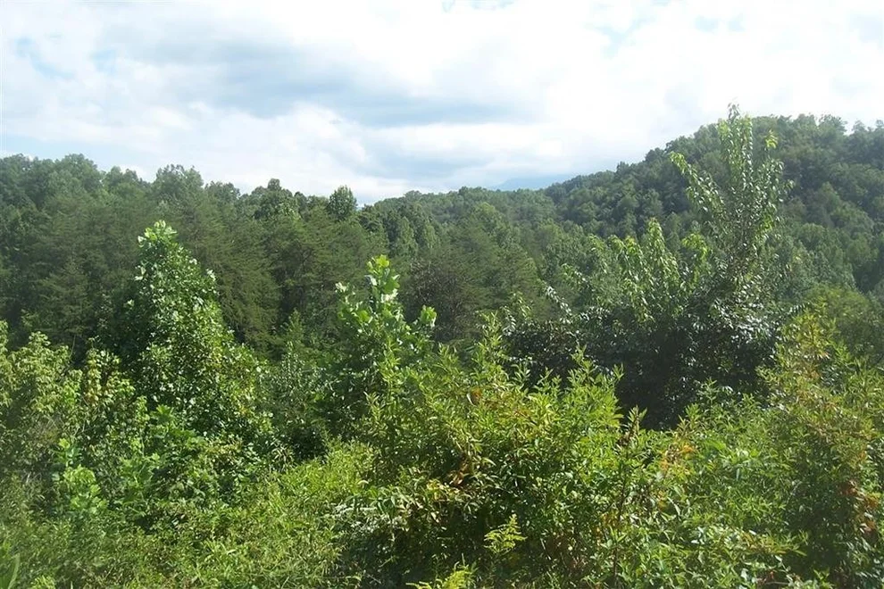 Unit for sale at 1876 Upper Middle Creek Road, Sevierville, TN 37876