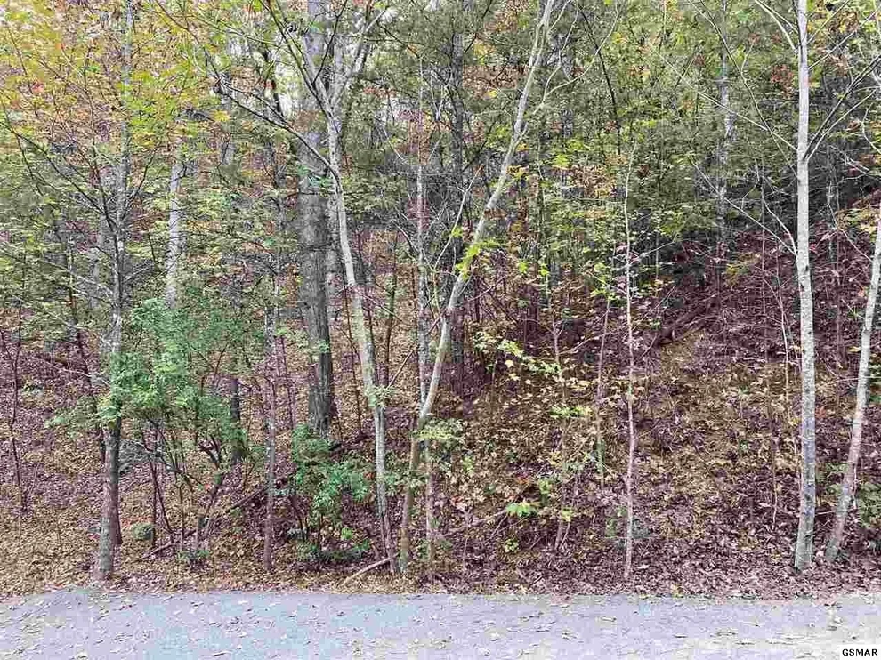 Unit for sale at 0 Ogle Drive, Pigeon Forge, TN 37863