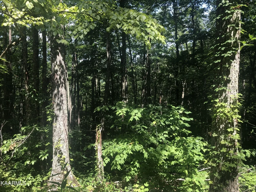 Unit for sale at 19 Low Sunset Drive, Sevierville, TN 37876